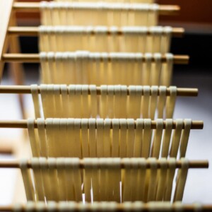 Image of the vegan pasta, cut in to fettucine ribbons, hanging out on a pasta drying rack.