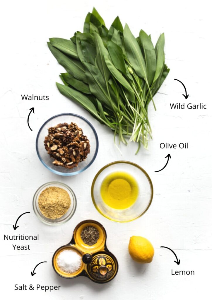 Overhead photo of the vegan wild garlic pesto Ingredients, on a white background.