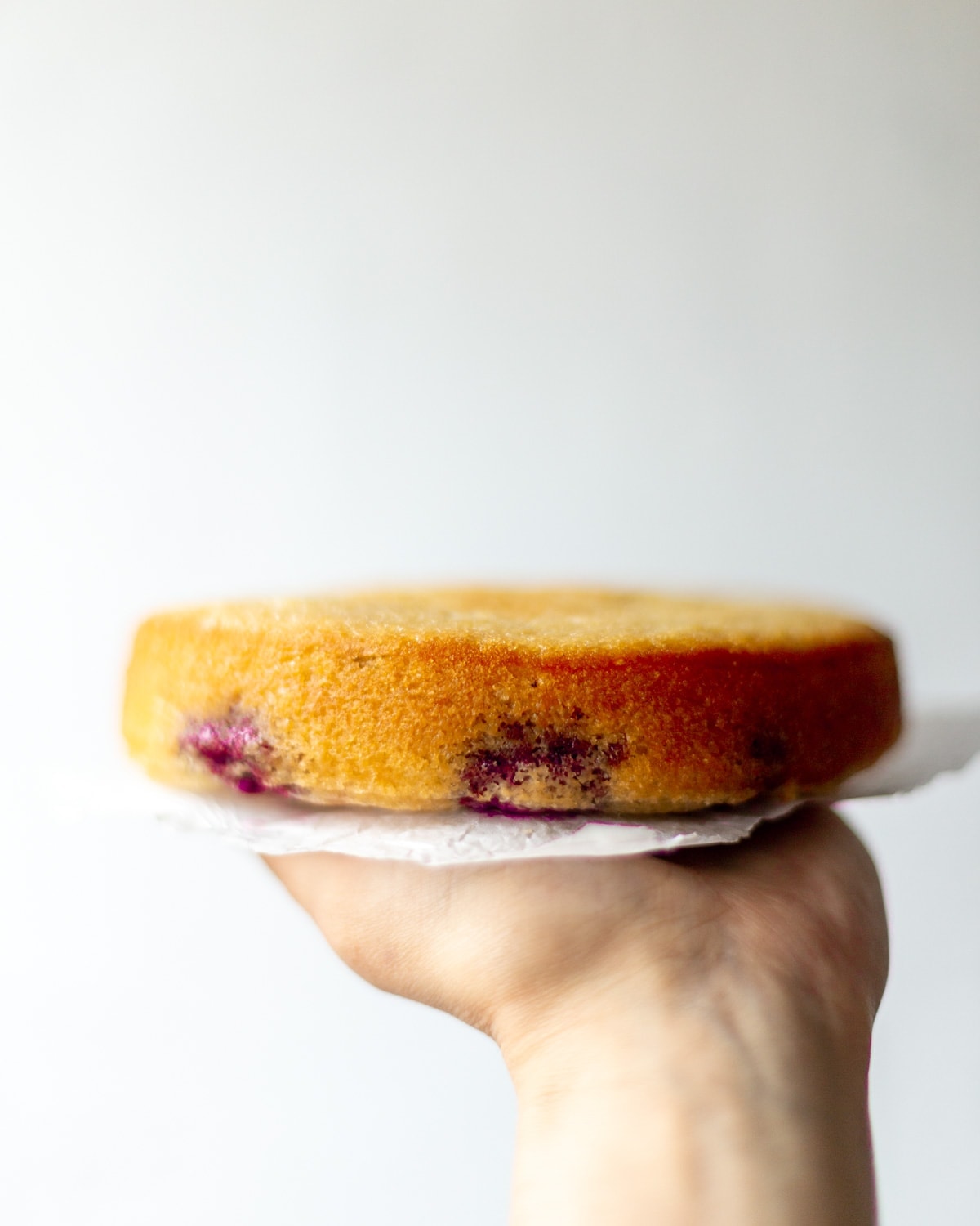 Someone holding up a layer off the lemon blackberry sponge, on their hand, in front of the camera.